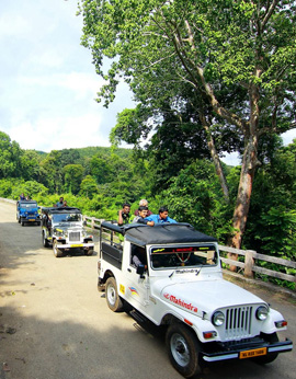Jeep Horse Safari Pali